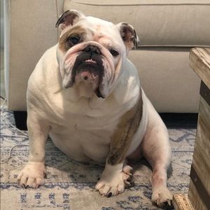 Meet your Posher, Danny